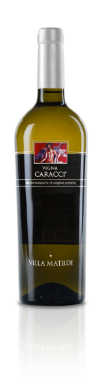 Vigna Caracci Storico Falerno del Massico D.O.P. Bianco